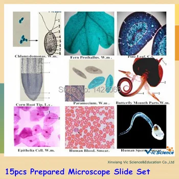 15 шт. подготовленный набор предметных стекол для микроскопа